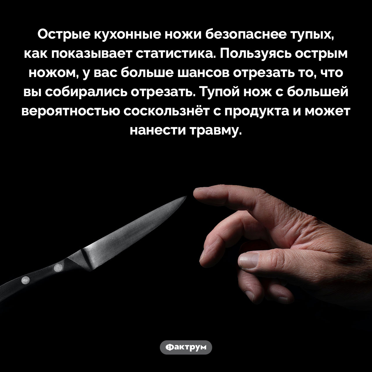 Острые кухонные ножи безопаснее тупых - свежие новости на Toplenta по теме Факты в картинках