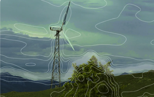 В Крыму прошел Зеленый фестиваль - свежие новости на Toplenta