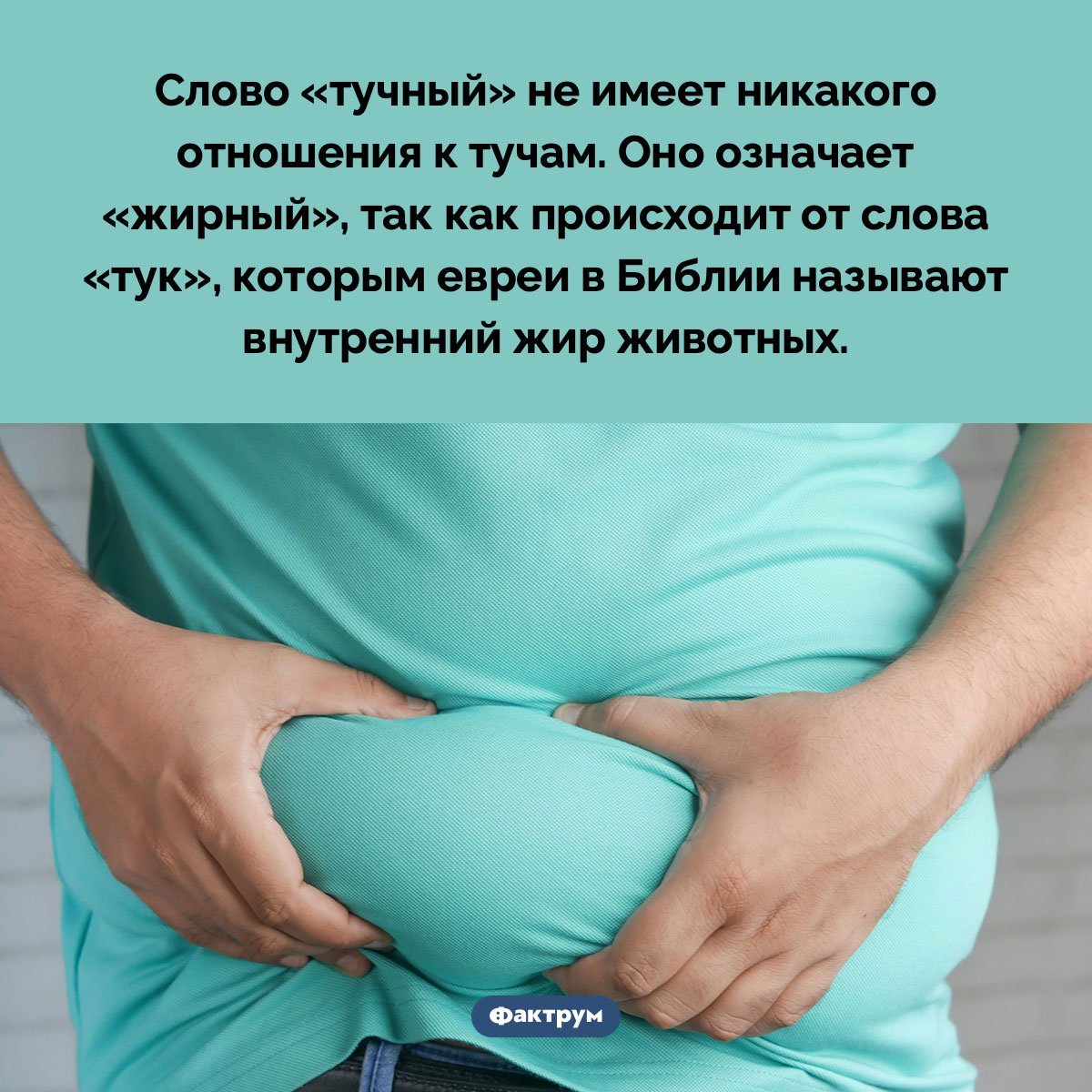 «Тучный» значит «жирный» - похожая новость на Toplenta