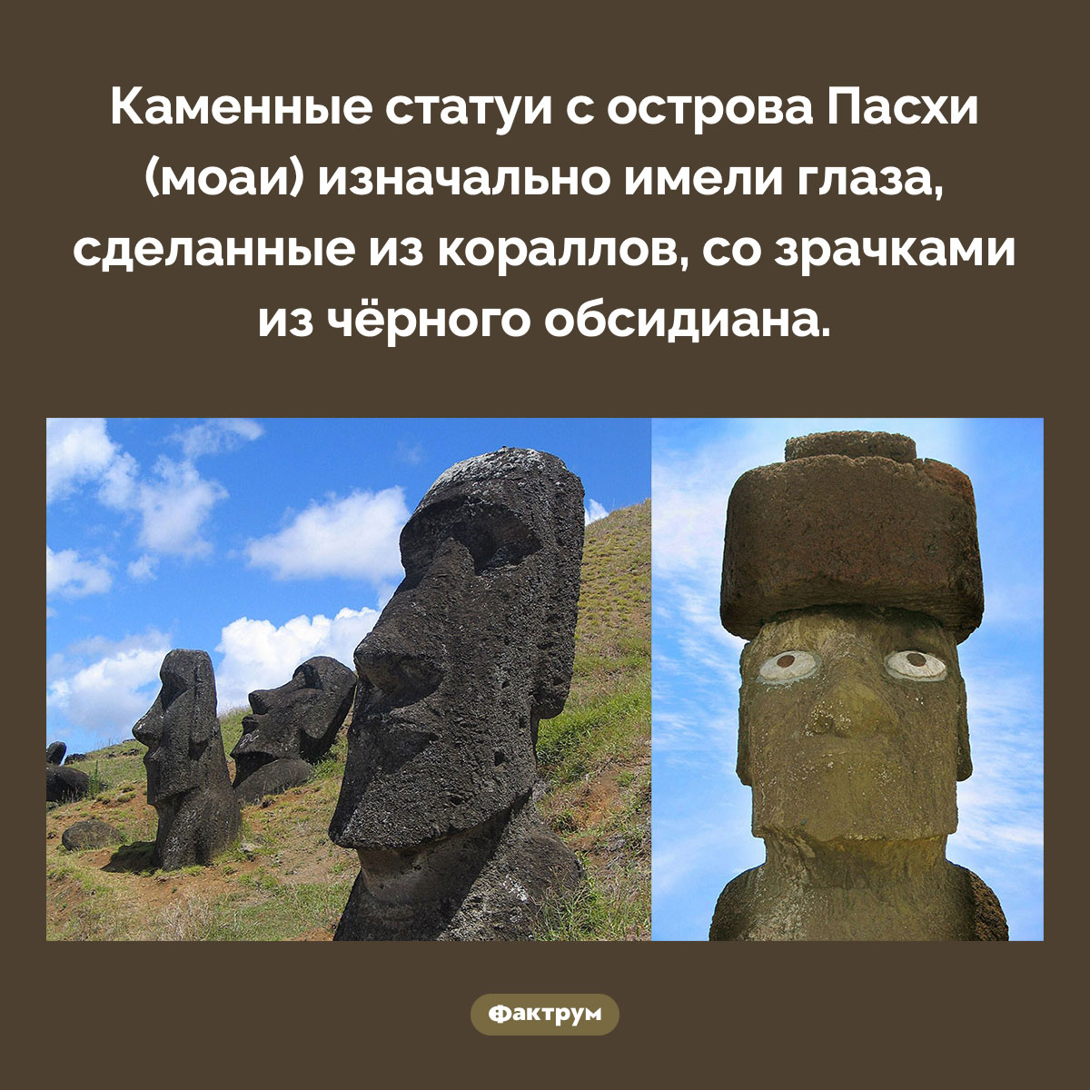 У моаи были глаза из кораллов - свежие новости на Toplenta по теме Наук