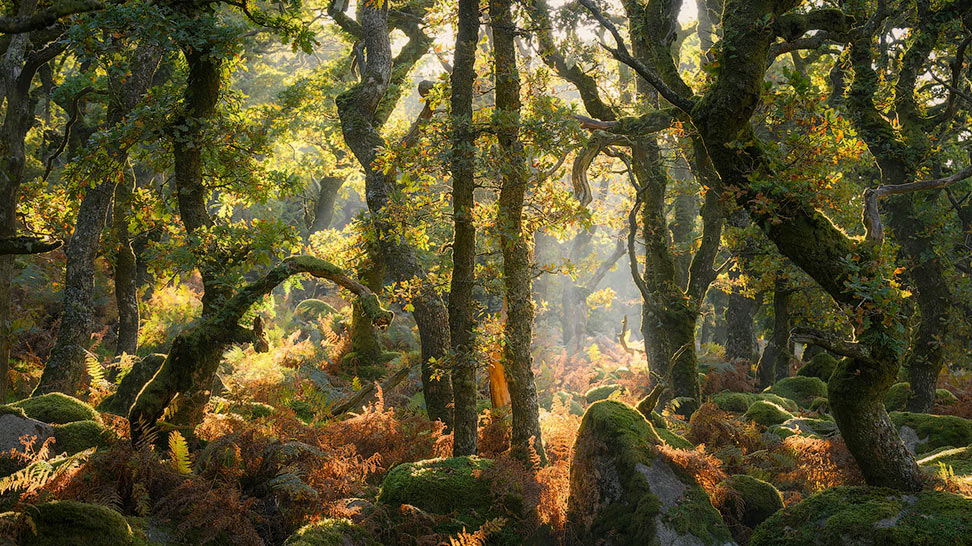 Победители конкурса Natural Landscape Photography Awards 2025 - свежие новости на Toplenta