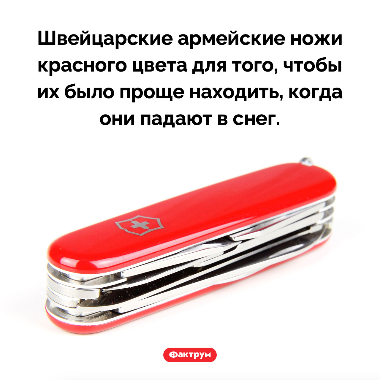 Почему швейцарские армейские ножи красного цвета - свежие новости на Toplenta по теме швейцария