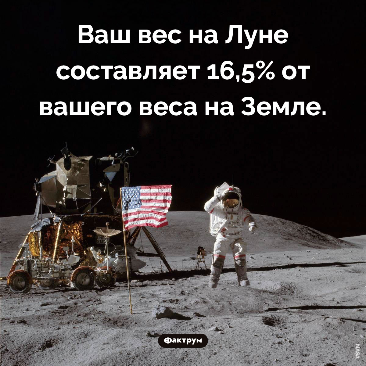 Вес на Луне - свежие новости на Toplenta