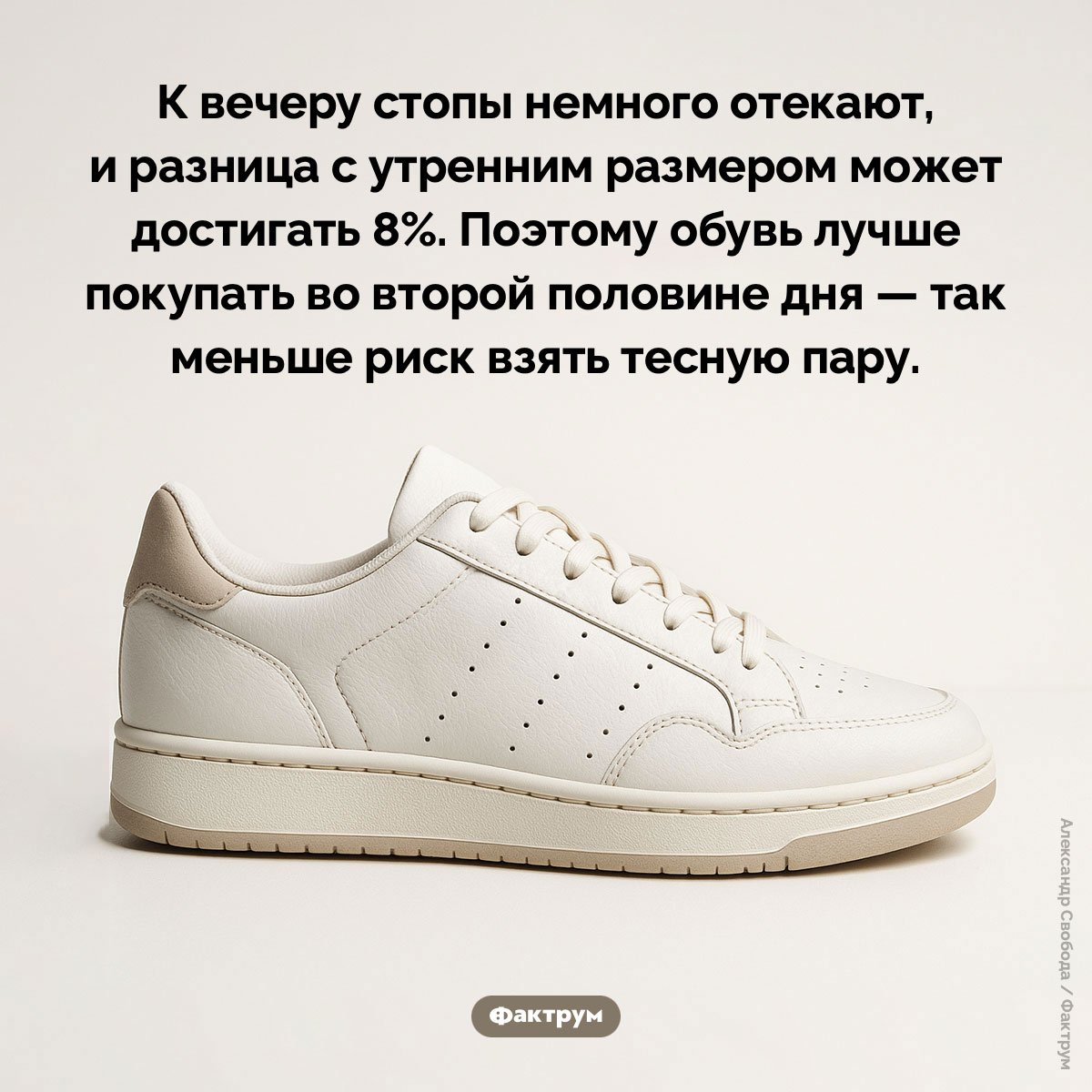 Утром наши ноги меньше - свежие новости на Toplenta