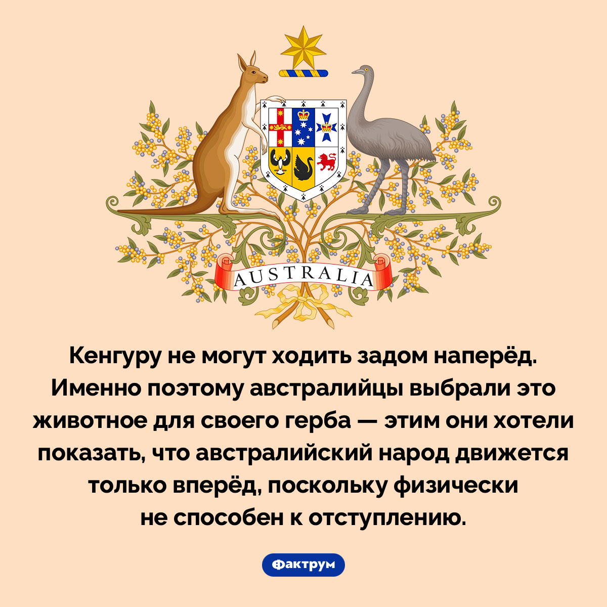 Почему на австралийском гербе изображён кенгуру - свежие новости на Toplenta