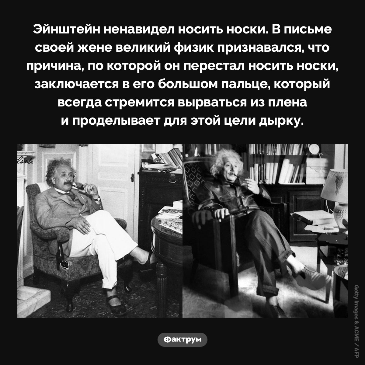 Эйнштейн и носки - свежие новости на Toplenta