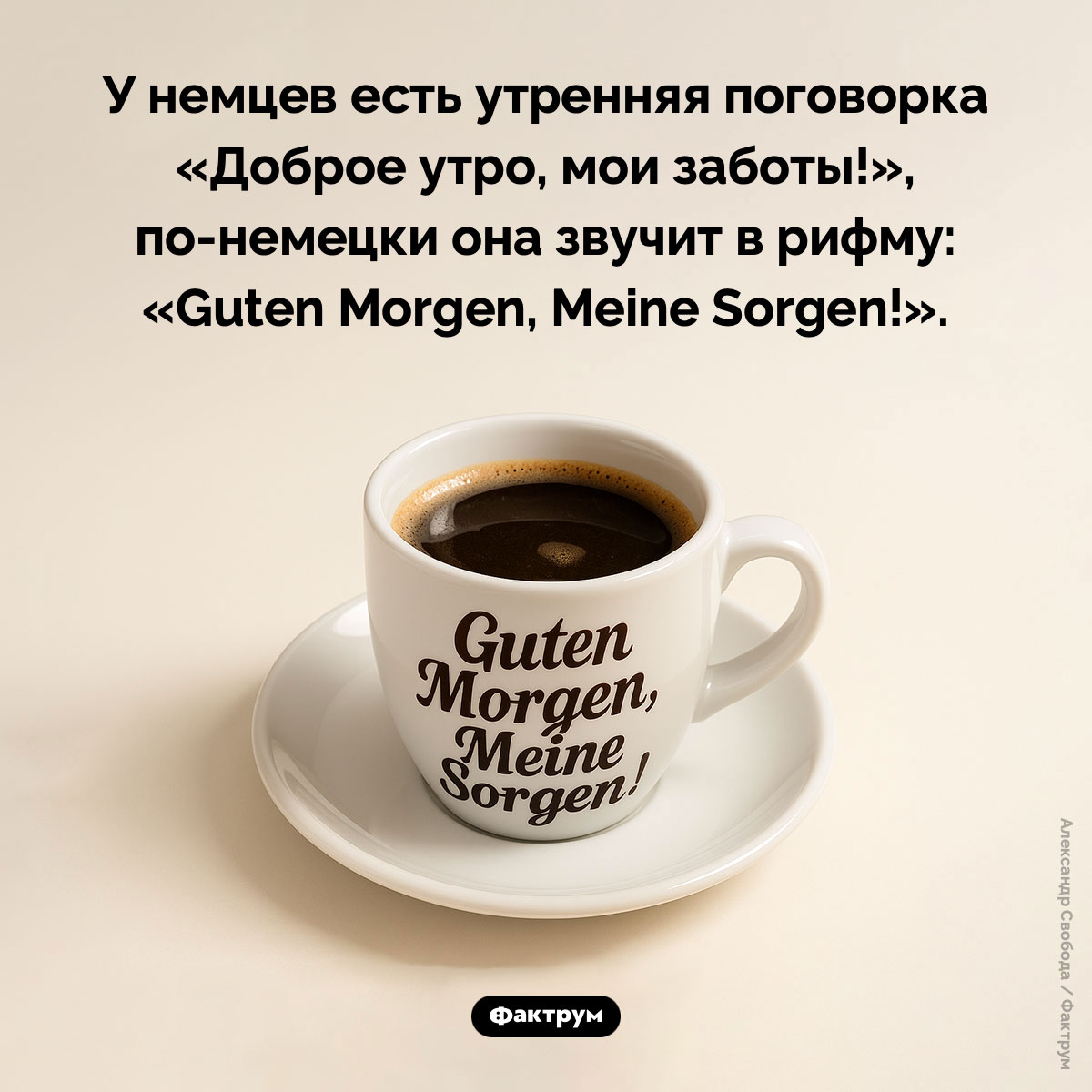 Guten Morgen, Meine Sorgen! - свежие новости на Toplenta