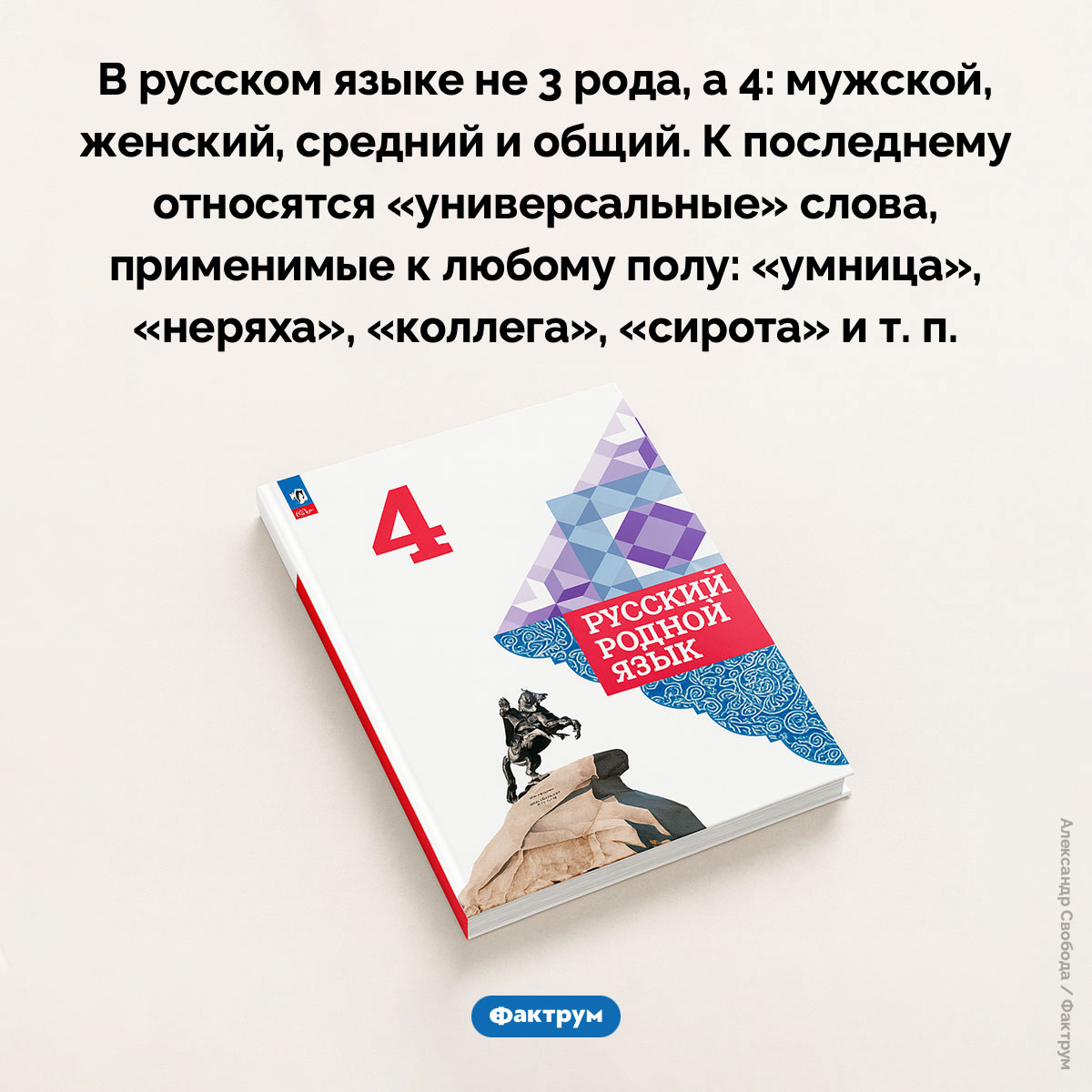 В русском языке не 3 рода, а 4 - свежие новости на Toplenta
