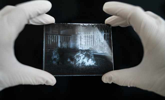 Мужчина нашел в подвале старую запечатанную шкатулку и проявил негатив из нее. На фото возрастом 120 лет оказался кот - свежие новости на Toplenta по теме мать