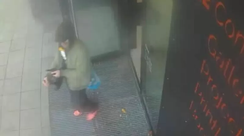 Украденная свинья - свежие новости на Toplenta