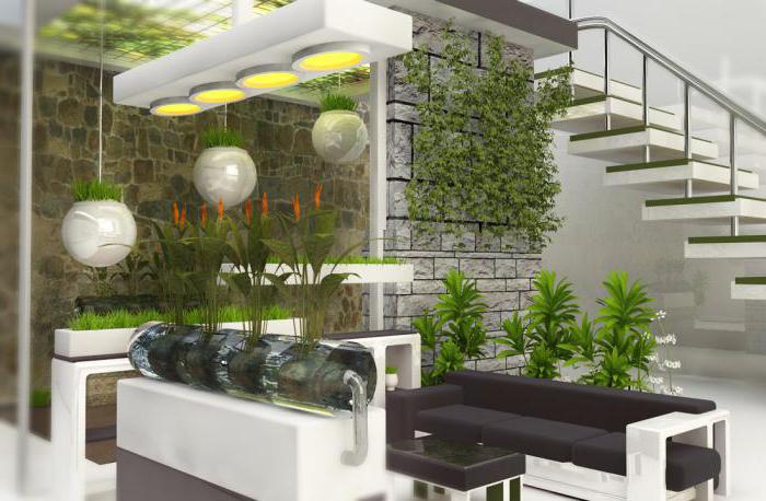 Тенелюбивые растения для дома: фото и названия - свежие новости на Toplenta