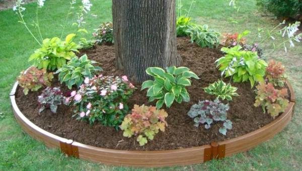 10 идей оформления клумбы - свежие новости на Toplenta