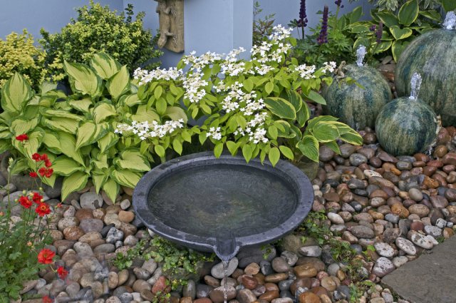 15 универсальных приемов для создания роскошного сада - свежие новости на Toplenta