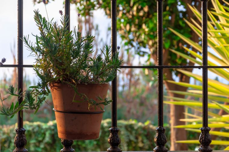 Декоративная решётка на окно своими руками - свежие новости на Toplenta