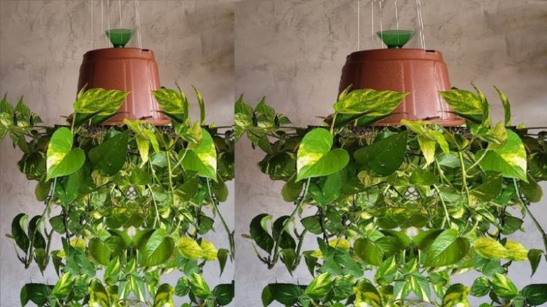 Нестандартный декор - свежие новости на Toplenta