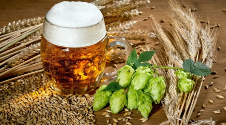 Дешёвое средство для крепкой рассады вместо дорогих биопрепаратов - свежие новости на Toplenta