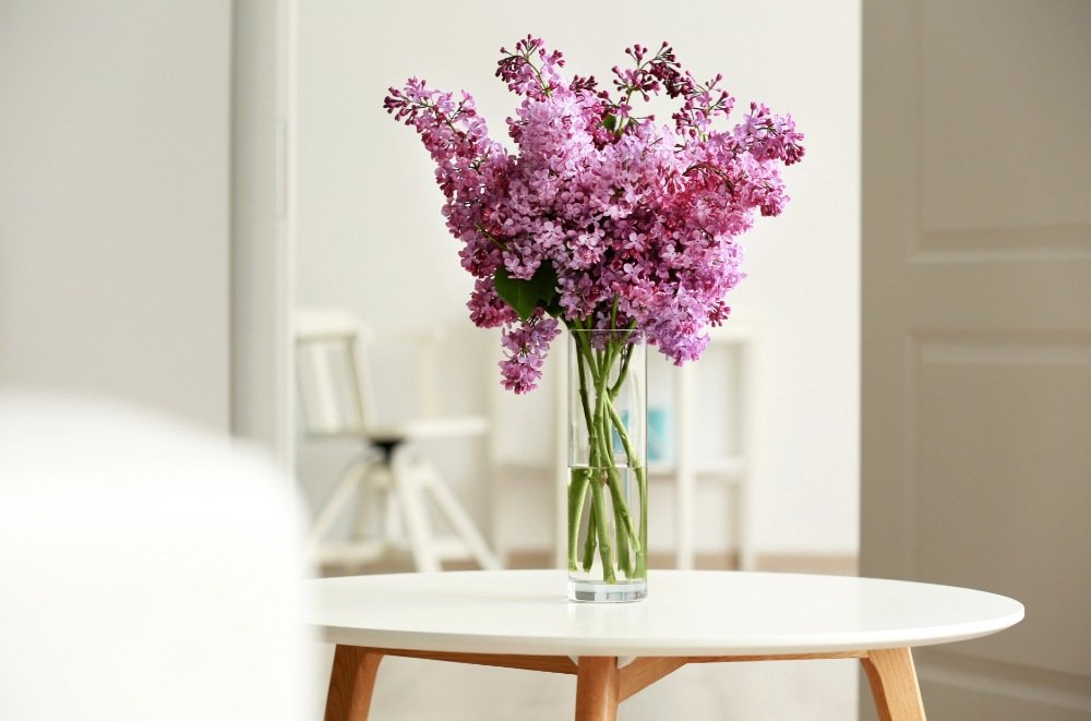 Как продлить жизнь срезанной сирени - свежие новости на Toplenta