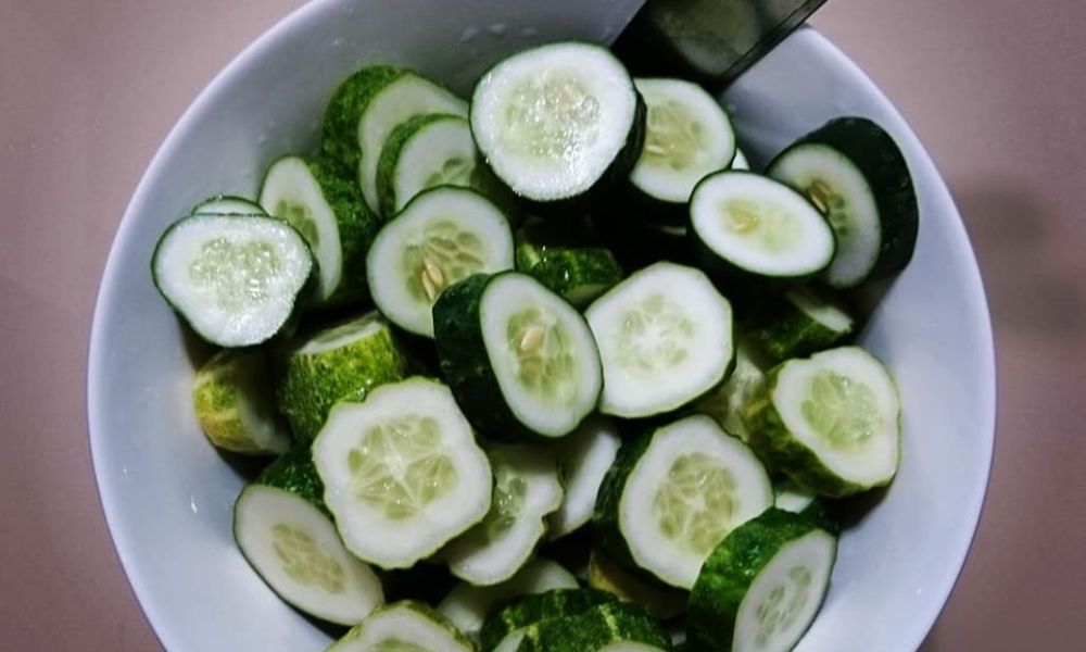 Огурцы в морозилке: новые горизонты хранения овощей - свежие новости на Toplenta по теме It-продукты