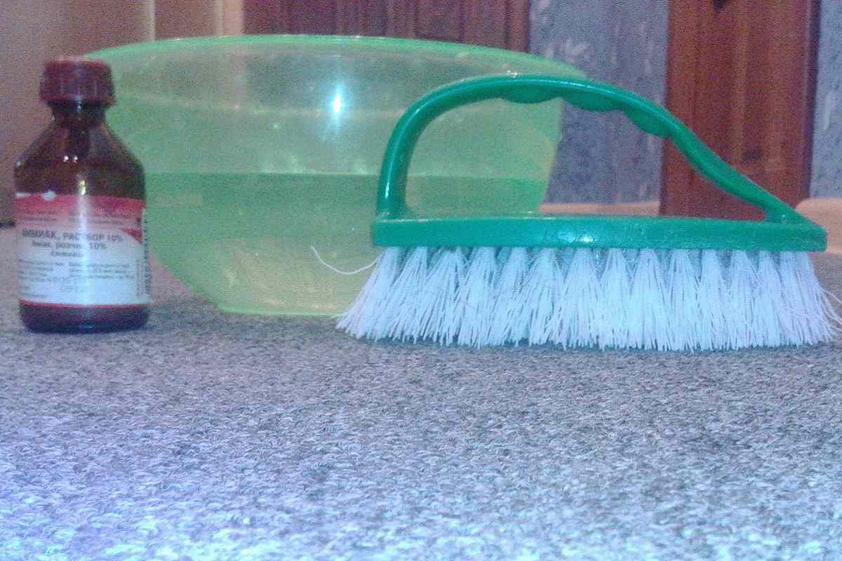 Чистка ковров по-турецки - свежие новости на Toplenta по теме Совы