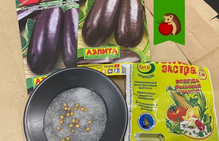 Когда лучше всего садить баклажаны на рассаду - свежие новости на Toplenta по теме СТО