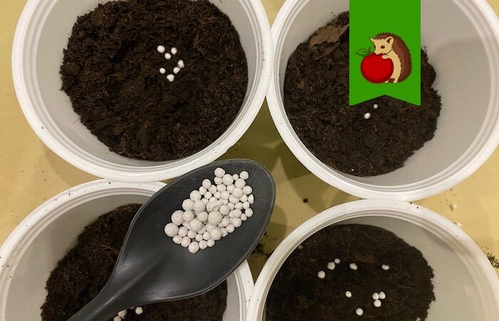 Что положить в грунт для крепкой рассады - свежие новости на Toplenta по теме МКА