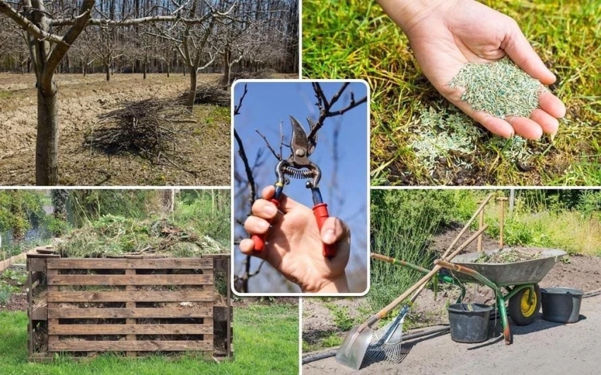 Когда заниматься посадкой и уходом за растениями с 21 по 27 апреля согласно лунному календарю - свежие новости на Toplenta по теме Для женщин  /  Соцпортал