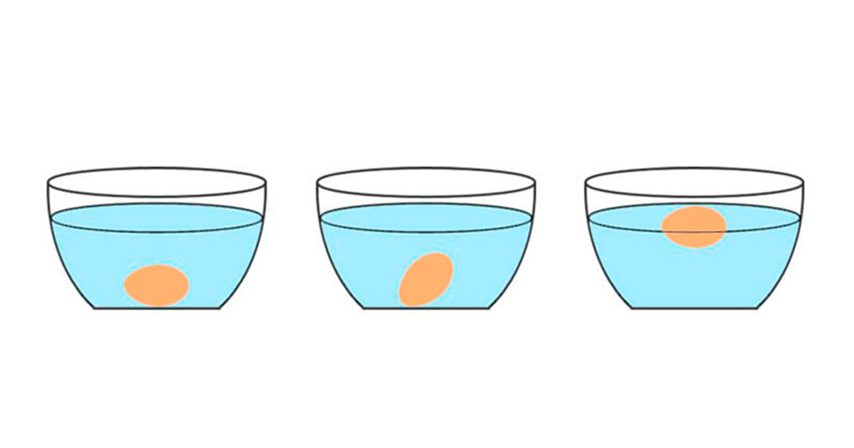 Свежее яйцо не всплывает в холодной воде - свежие новости на Toplenta по теме Все факты