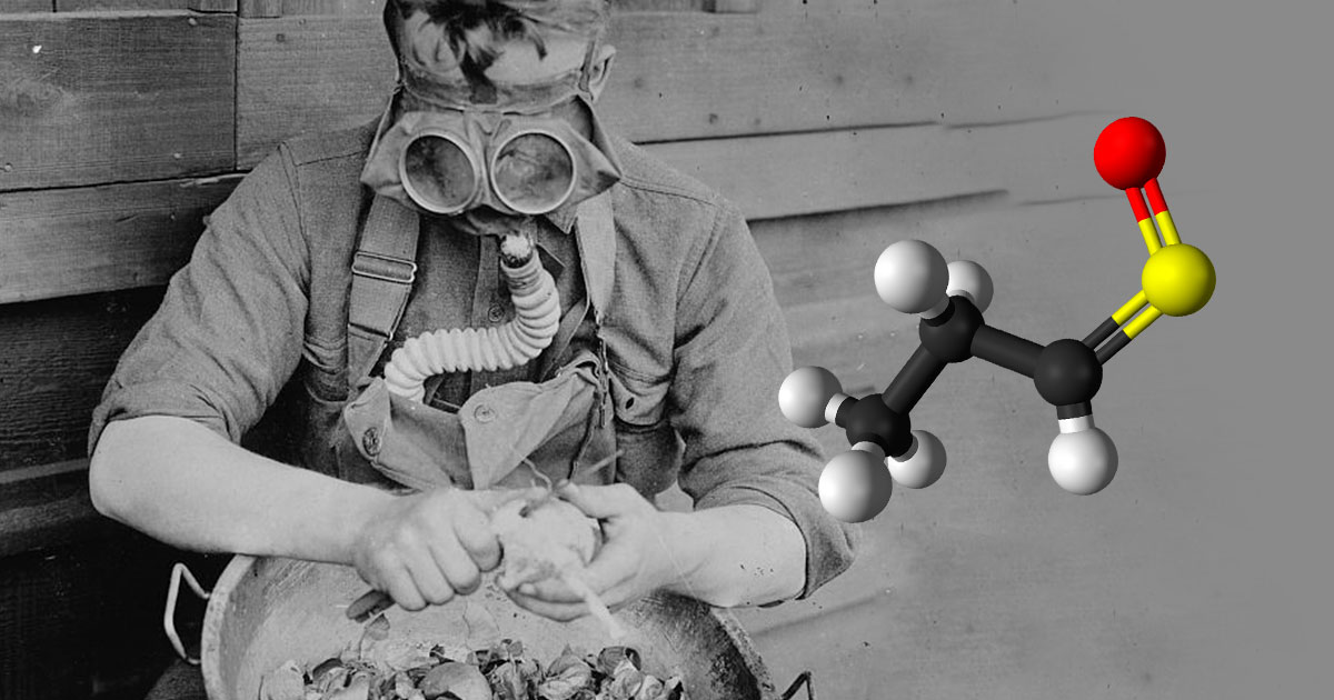 Почему от лука текут слезы - свежие новости на Toplenta по теме Чел