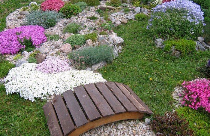 Сухой сад - идеальное решение для тех, у кого нет времени следить за клумбами - свежие новости на Toplenta по теме СТО