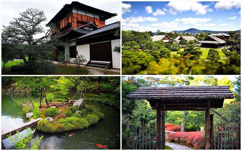 Сады замка Нидзё - свежие новости на Toplenta по теме азия
