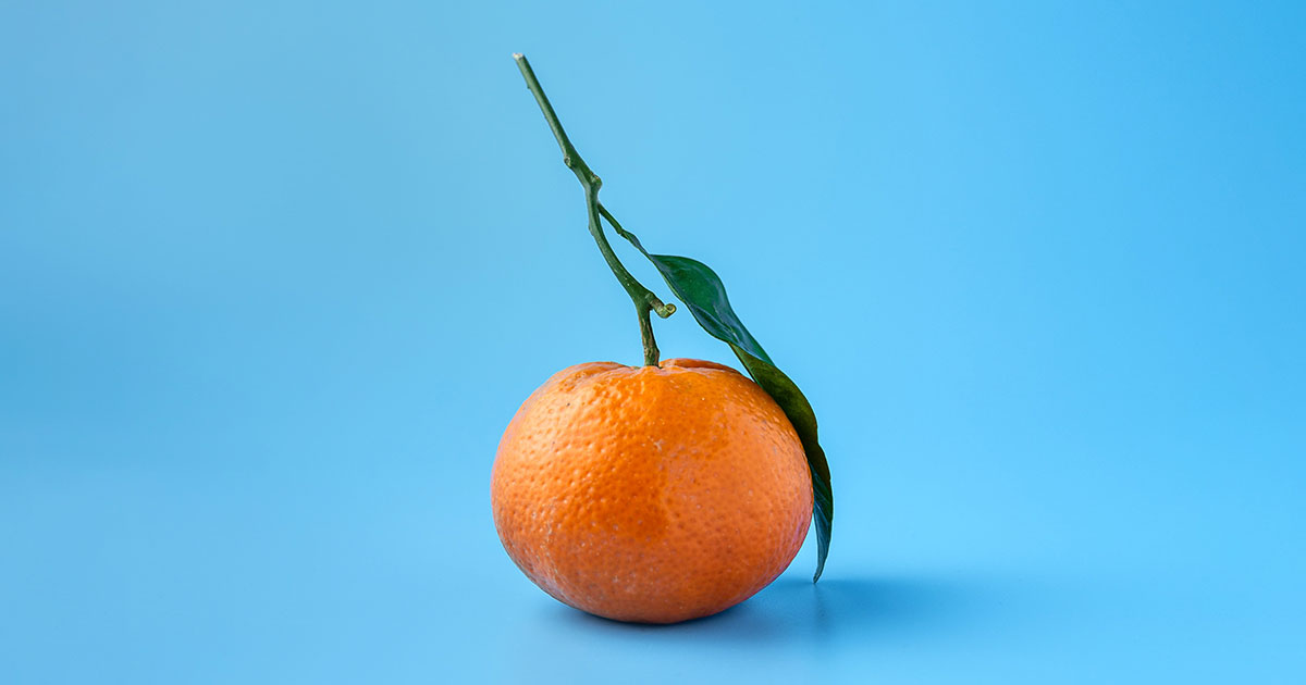 Самая полезная еда - свежие новости на Toplenta по теме Все факты