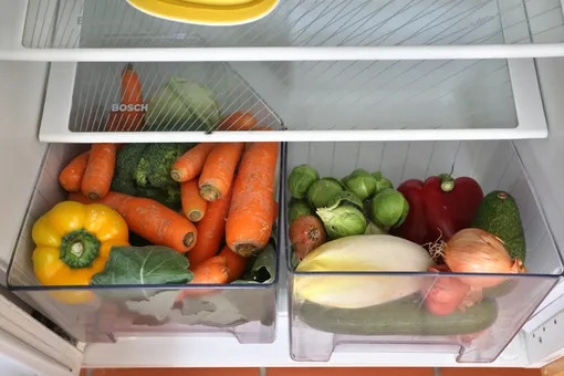 Конденсаторные змеевики: где они находятся в холодильнике и как часто их нужно чистить - свежие новости на Toplenta по теме хаки