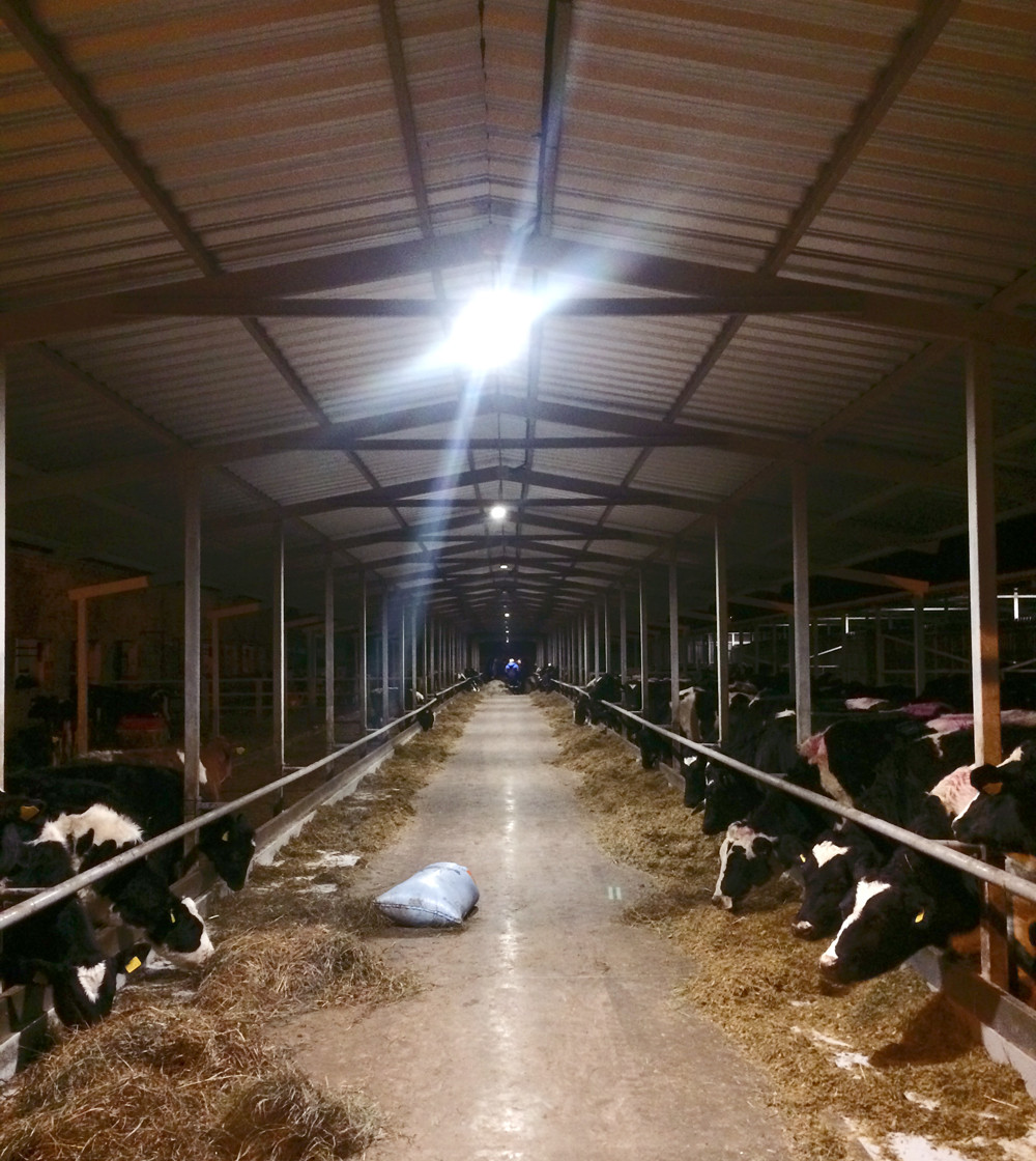 Самые полезные товары для фермеров: фонари, автоклавы и еще два незаменимых помощника - свежие новости на Toplenta по теме Полезные статьи