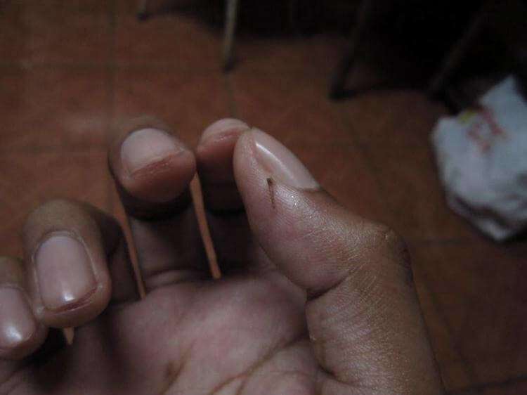 10 причин не выкидывать банановые очистки - свежие новости на Toplenta по теме лайфхаки саморазвития