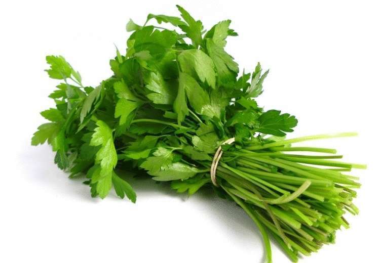 Топ-5 полезной зелени - свежие новости на Toplenta по теме лайфхаки саморазвития