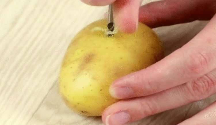 Как вырастить розу в картошке. Действенный метод для пышного куста в будущем! - свежие новости на Toplenta по теме лайфхаки саморазвития