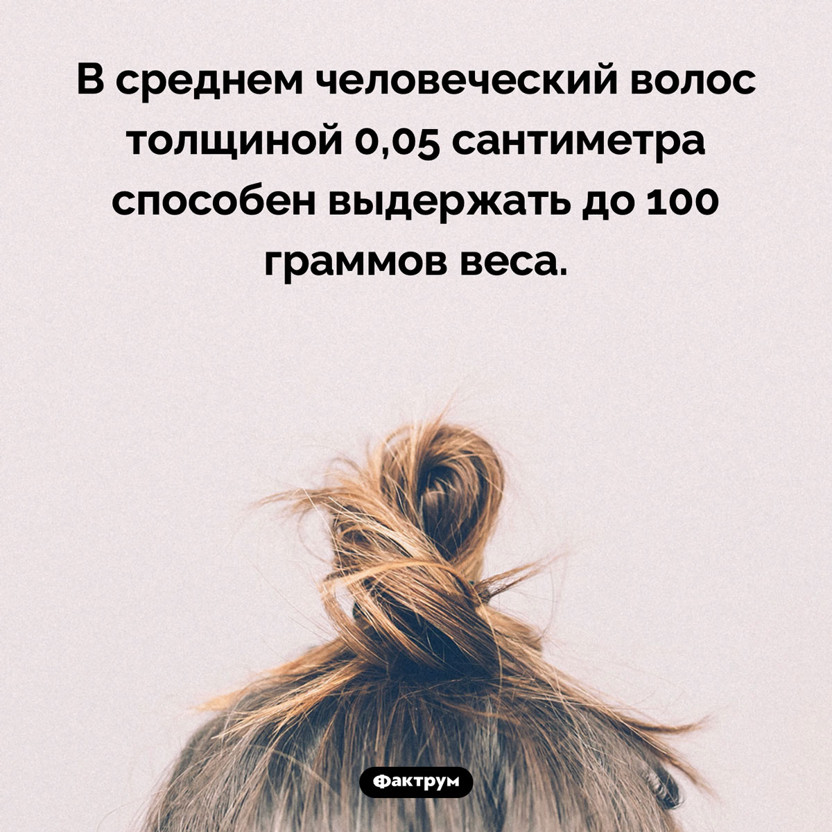 Какой вес способен выдержать волос - свежие новости на Toplenta