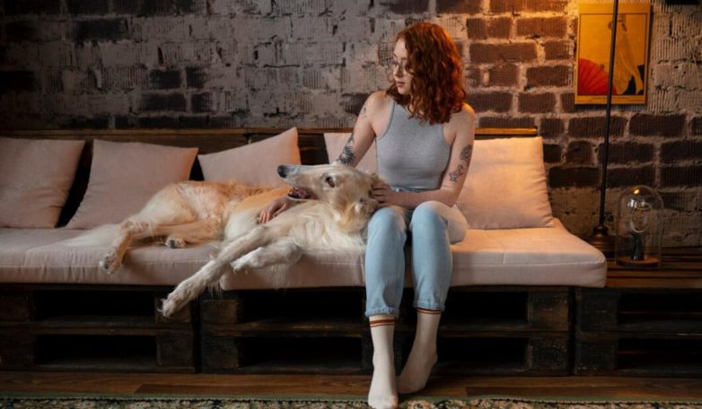 Как сделать дом удобным и для вас, и для вашего питомца - похожая новость на Toplenta