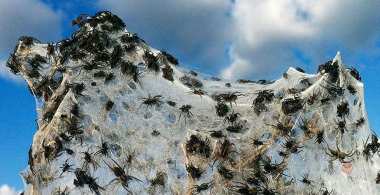 Самые необычные дожди, прошедшие в разных уголках планеты - свежие новости на Toplenta по теме интересные идеи