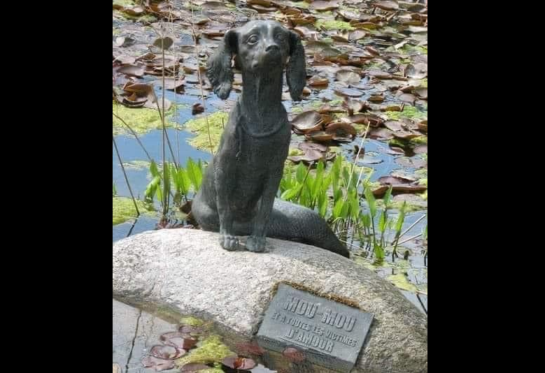 Кто из нас, читая рассказ И.С. Тургенева «Муму» не плакал? - свежие новости на Toplenta по теме общество