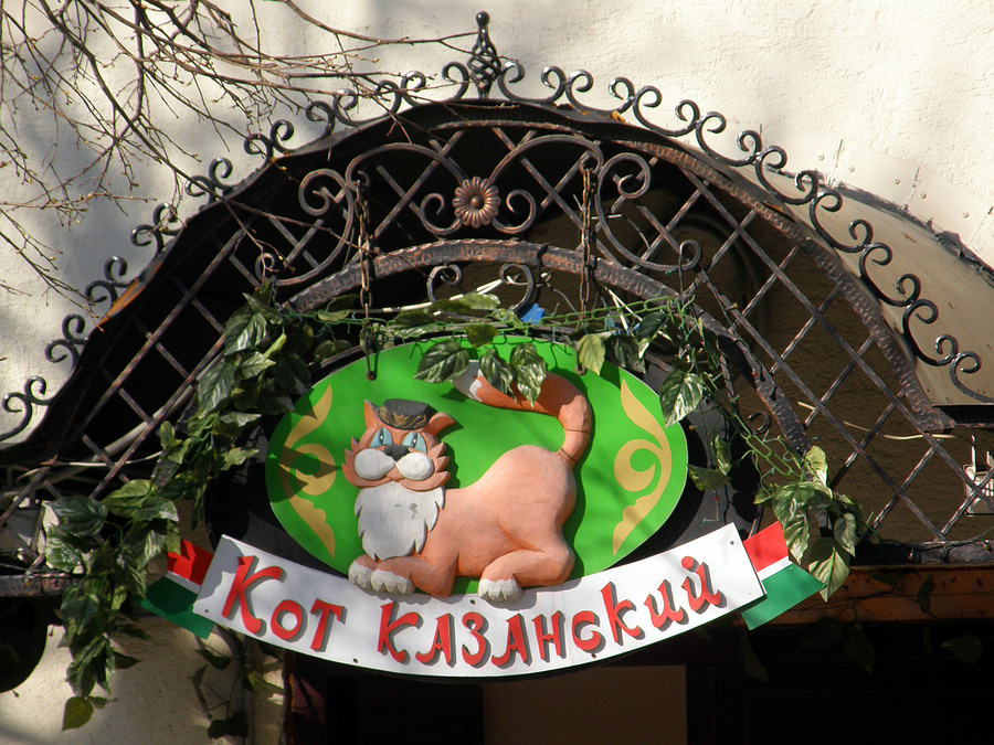 Как казанские коты Питер спасли - свежие новости на Toplenta по теме ец