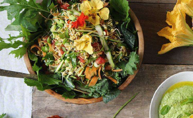 Биогенная еда — самый дешевый способ борьбы со старением - свежие новости на Toplenta по теме здоровье и медицина