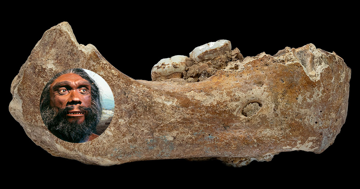 У азиатов есть гены денисовцев — древнего вымершего виды людей - свежие новости на Toplenta по теме Наук