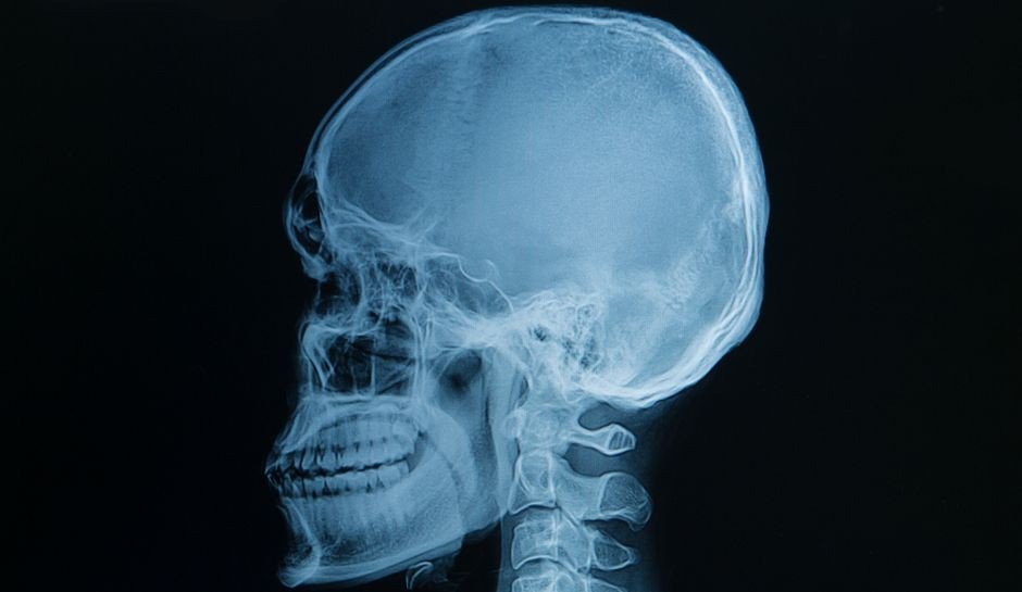 Лучше любого учебника: 20+ изображений об анатомии человека, которые вас удивят - свежие новости на Toplenta по теме строение