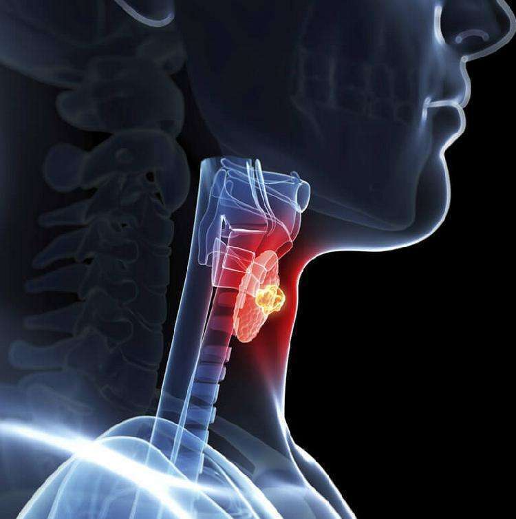 Появление седины – дело не в возрасте! Чего не хватает вашему организму - свежие новости на Toplenta по теме Медицина и Здоровье  /  Соцпортал