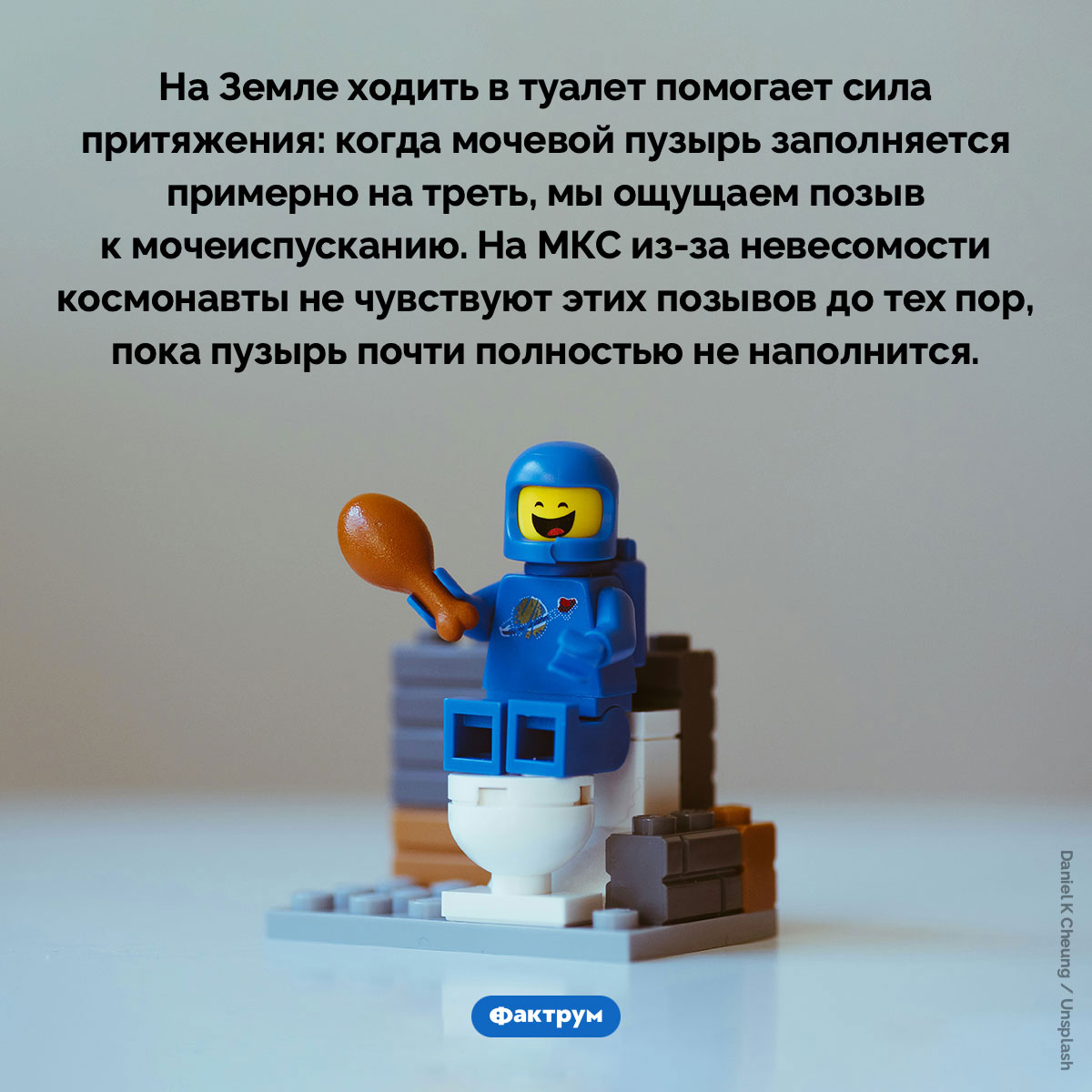 Гравитация влияет на мочеиспускание - свежие новости на Toplenta по теме си