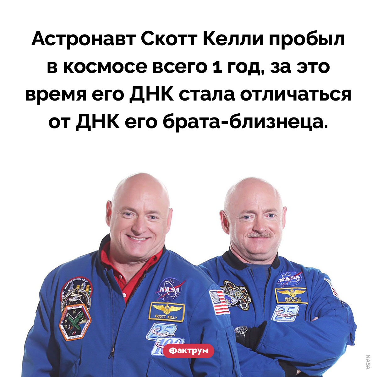 Космос воздействует на гены человека - свежие новости на Toplenta по теме Наук