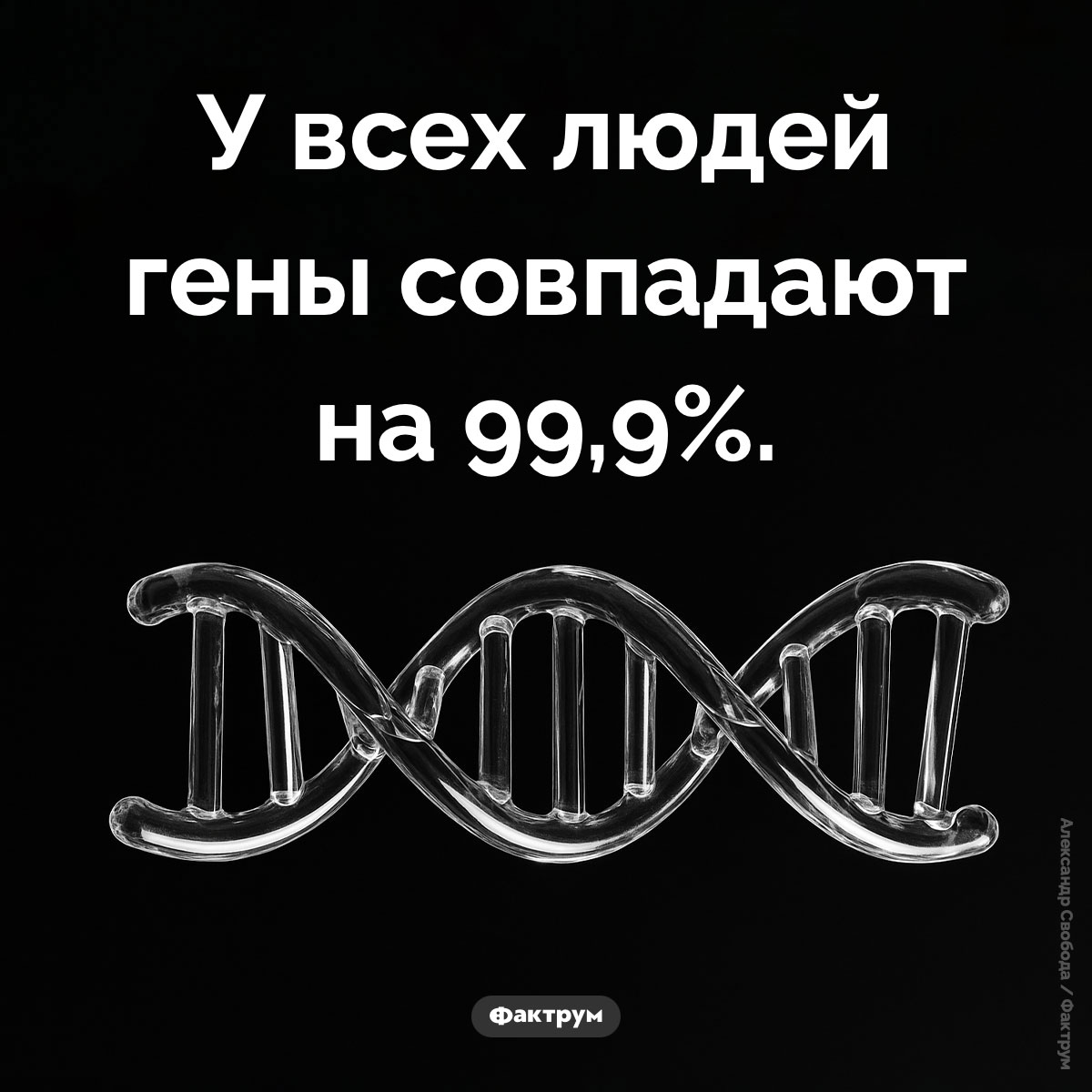 Гены всех людей совпадают на 99,9% - свежие новости на Toplenta по теме Наук