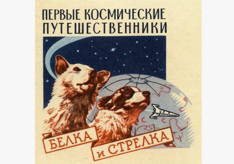 19 августа исполнилось 65 лет со дня полета в космос Белки и Стрелки - свежие новости на Toplenta по теме юрий гагарин