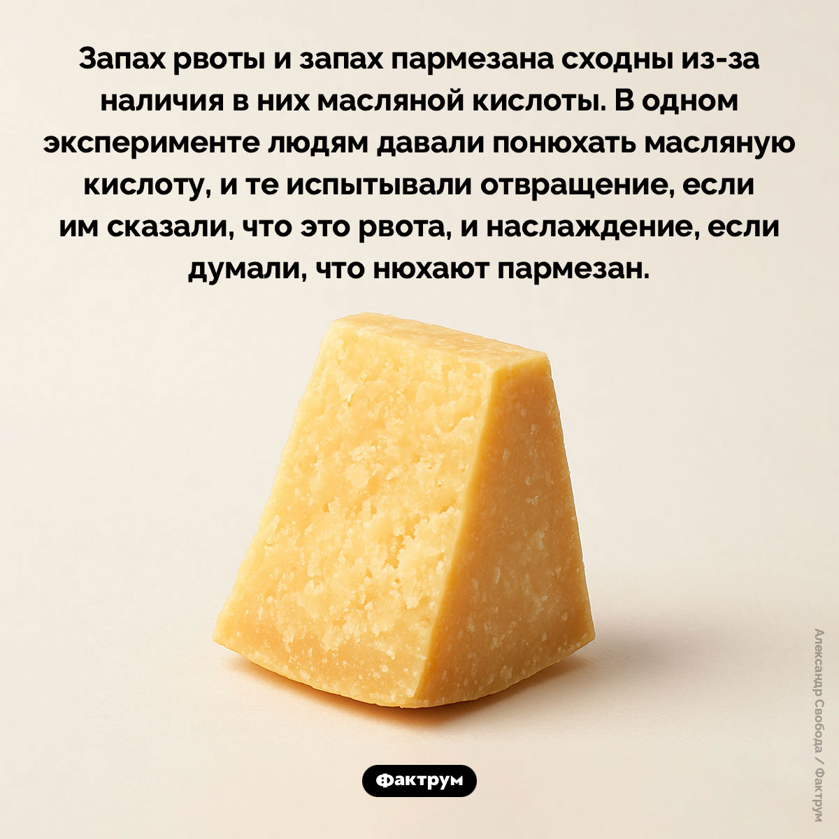 Запах рвоты и запах пармезана - свежие новости на Toplenta по теме Наук